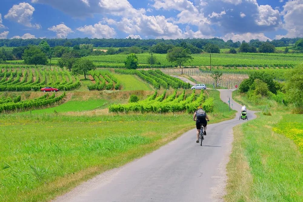 Najpiękniejsze trasy rowerowe w Austrii - odkryj malownicze szlaki