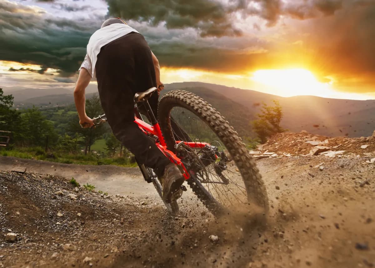 Jak wybrać idealny rower górski do Twojego stylu jazdy?